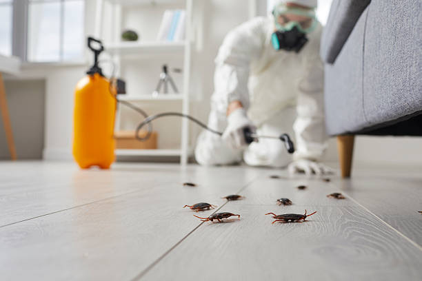 Commercial Kitchen Cockroach Control in Grifton